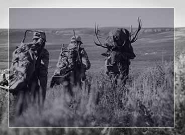 Contact Premier Elk Outfitters of Wyoming