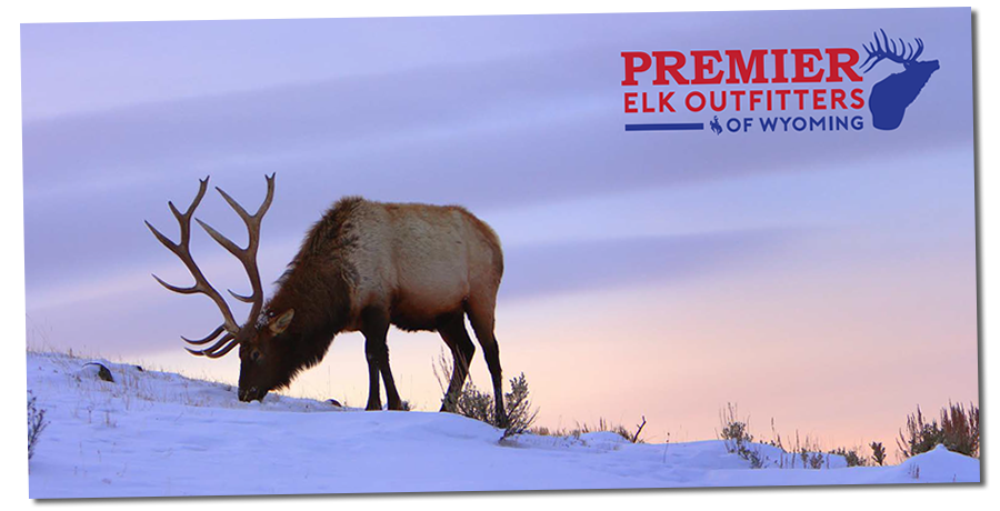 premier elk outfitters brochure wyoming