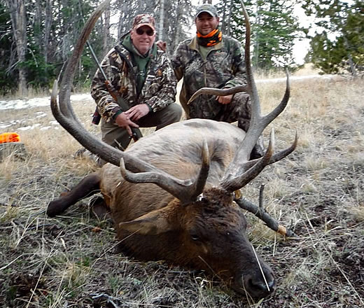 archery elk hunt camp sns outfitters photo