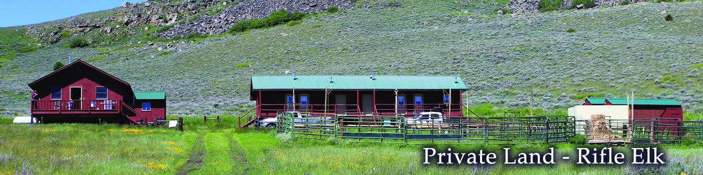 SNS Outfitter & Guide, Rifle elk private land hunt