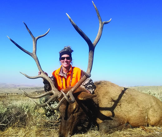 Rifle elk private land hunt photo