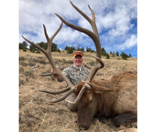 sns bull elk hunt graham camp