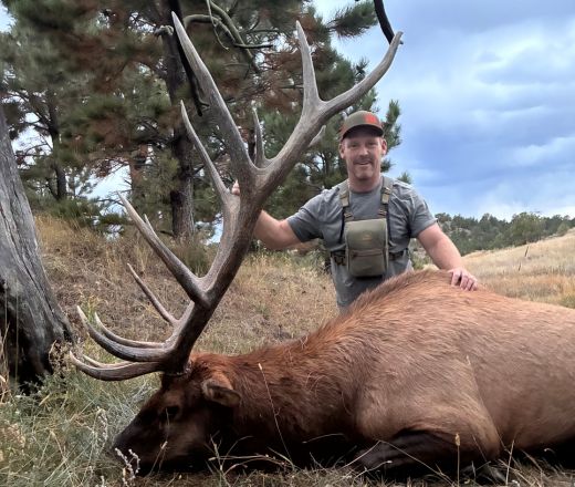 sns bull elk hunt non horseback