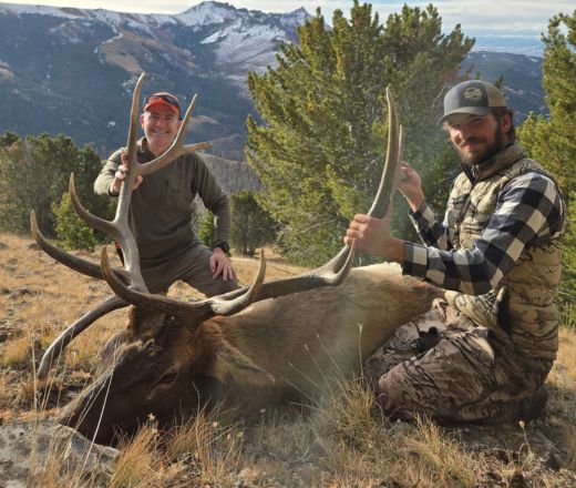 sns wilderness bull elk