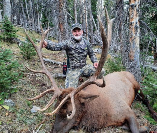sns wilderness bull elk