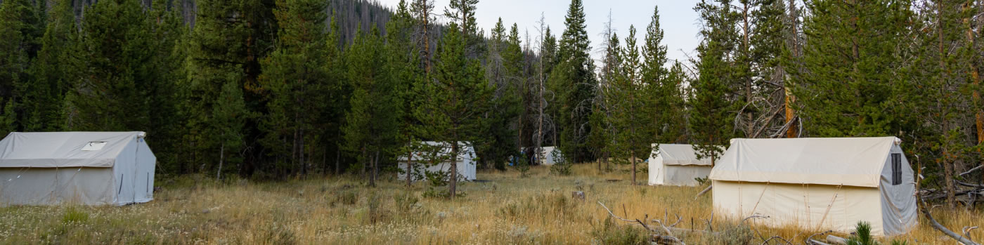 sns wilderness elk hunt camp