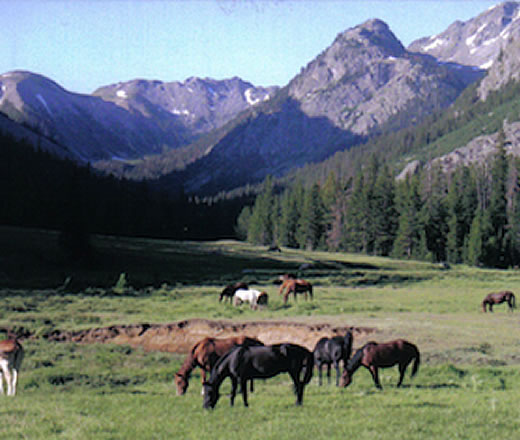 porcupine camp thomson outfitters