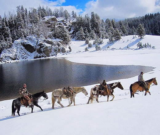 wolf lake camp thomson outfitters