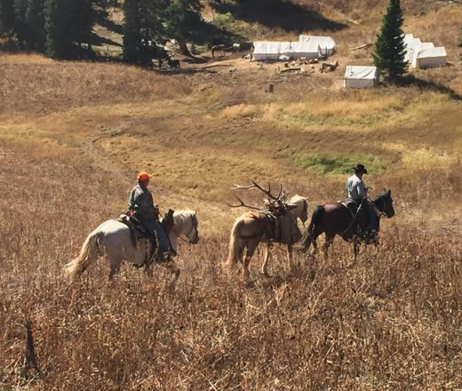 Trophy Mountain Pack in Wilderness Camp Elk Hunt