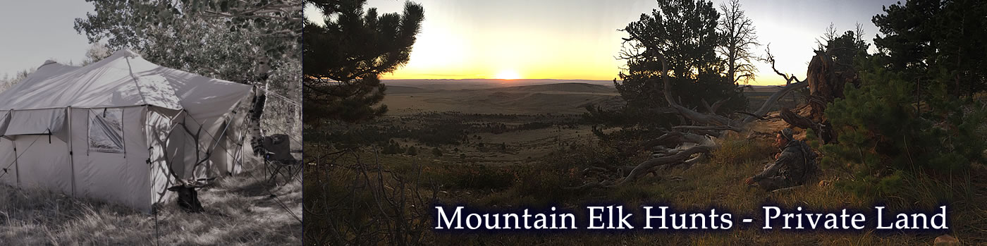 Tyler Sims Outfitting - mountain elk hunts