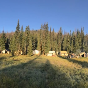 Seven J Outfitters IMG 8459