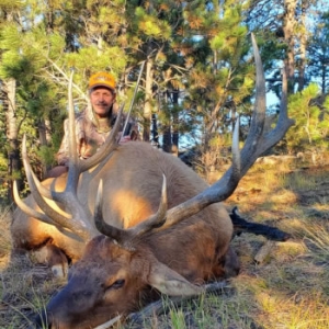 Hunter with his Wyoming bull ek on a hillside surrounded by trees
