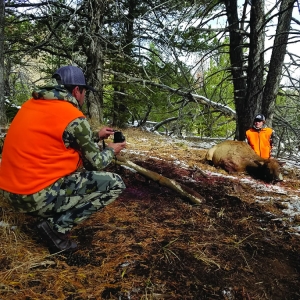 Sns Elk Hunts 12