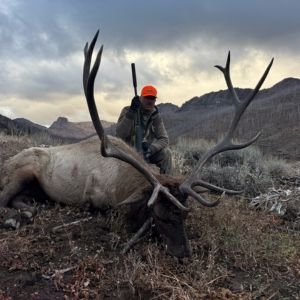 Sns Wilderness Bull Elk Wyoming 2025