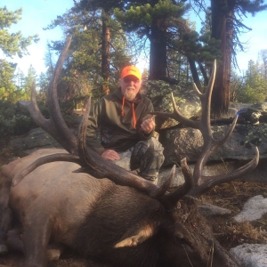 Hunter in orange hat and hoodie posing with his heavy horned bull elk