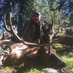 Archery hunter posing with his bull elk and bow near fallen timber and pine trees in Wyoming