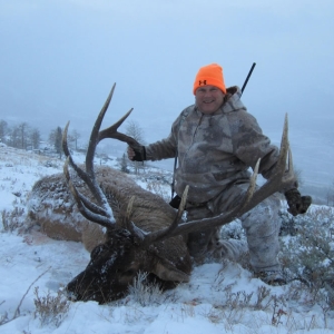 Hunter in orange hat kneeling in the snow with his bull elk
